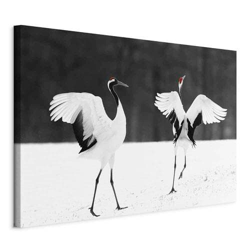 Canvas print Tańczące żurawie szeroki 120×80 cm, Italian canvas