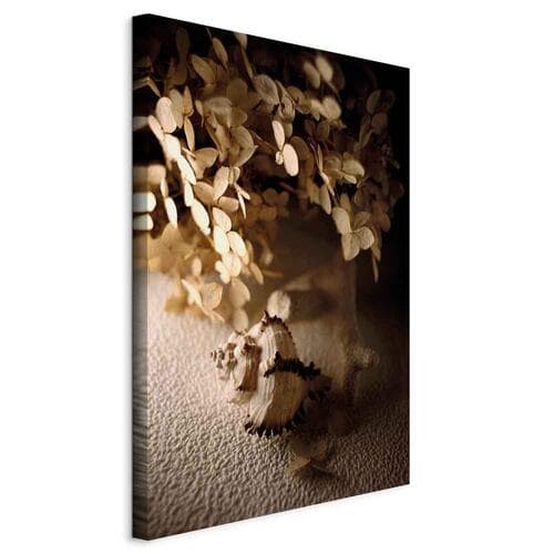 Leinwandbild Szumiąca muszla 20×30 cm, italienische Leinwand