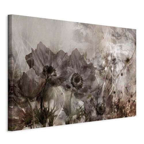 Leinwandbild Anemony w sepii szeroki 60×40 cm, italienische Leinwand
