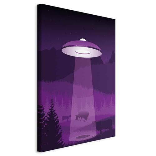Obraz na płótnie Ufo 80×120 cm, płótno standard