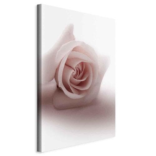 Canvas print Kwiatowy blask glamour - delikatna i pastelowa róża 60×90 cm, standard canvas