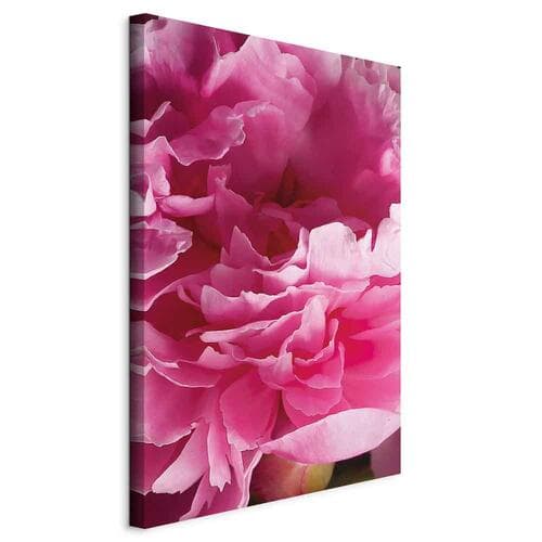 Leinwandbild Rozkwit piękna - różowy kwiat piwonii w objęciach natury 60×90 cm, Standardleinwand