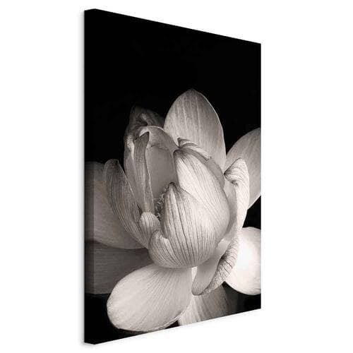 Leinwandbild Delikatność płatków w naturze - kwiat w czerni i bieli 20×30 cm, Standardleinwand