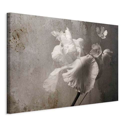 Canvas print Wenecki blask szeroki 90×60 cm, standard canvas