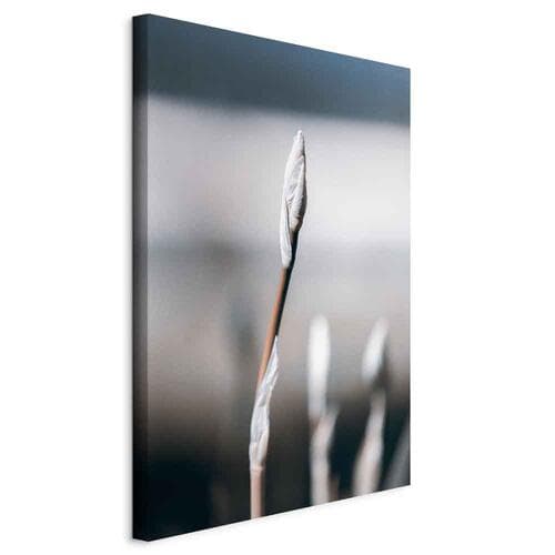 Картина на холсте Botaniczny minimalizm 20×30 см, стандартный холст