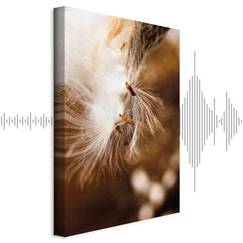 Canvas print Lekkie kołysanie 60×90 cm, standard canvas