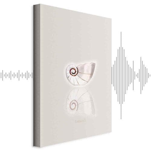 Картина на холсте Ceramiczna muszla 60×90 см, стандартный холст