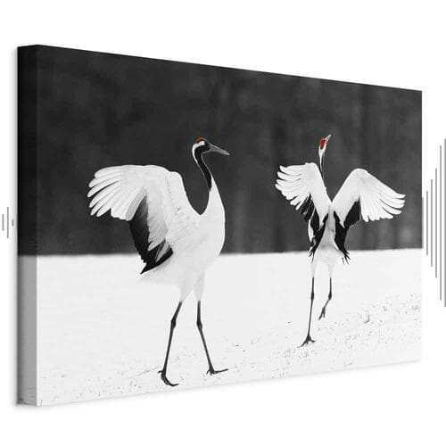 Leinwandbild Tańczące żurawie szeroki 60×40 cm, Standardleinwand