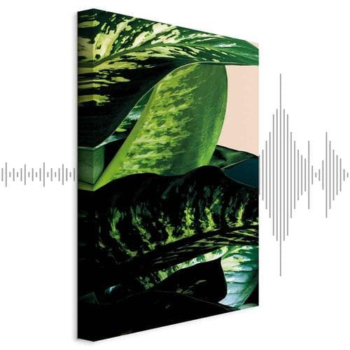Leinwandbild Difenbachia 80×120 cm, Standardleinwand