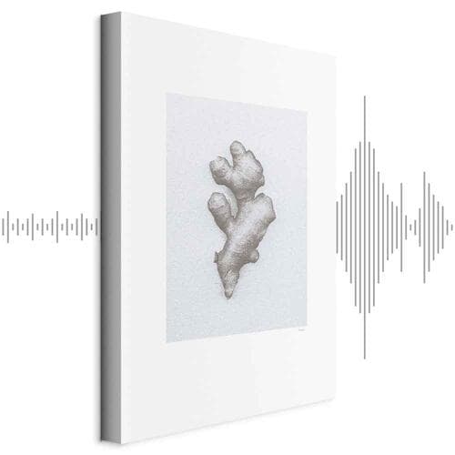 Canvas print Imbir 40×60 cm, standard canvas
