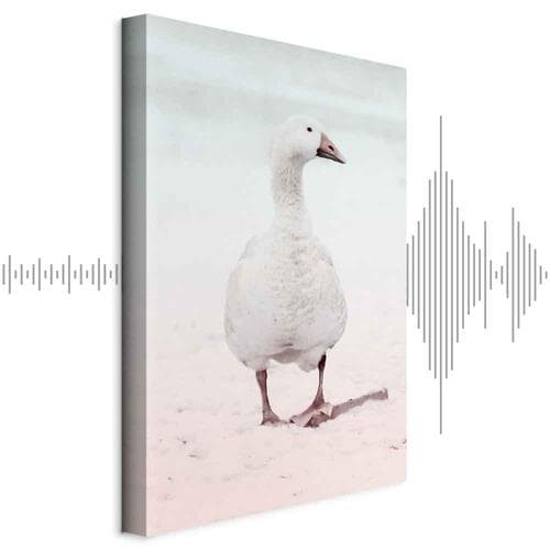 Canvas print Zimowa kaczuszka 80×120 cm, standard canvas