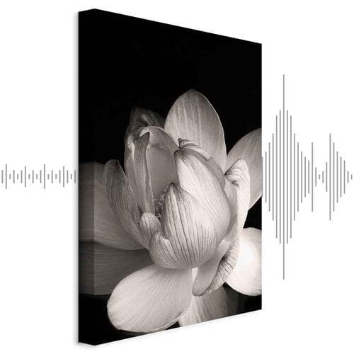 Leinwandbild Delikatność płatków w naturze - kwiat w czerni i bieli 40×60 cm, Standardleinwand