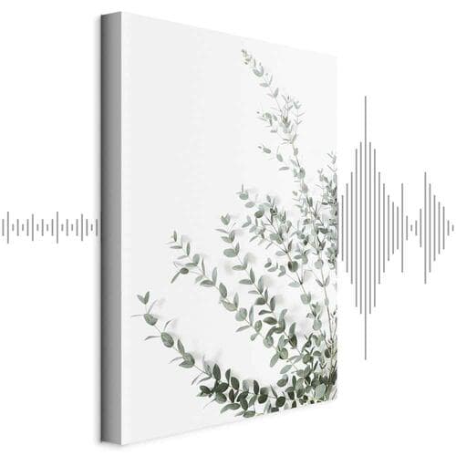 Canvas print Eukaliptus Parvifolia 80×120 cm, standard canvas