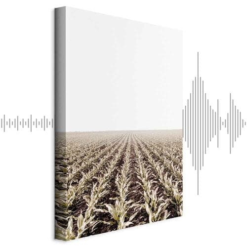 Leinwandbild Pole kukurydzy 20×30 cm, Standardleinwand