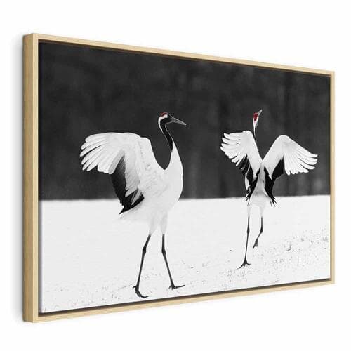 Canvas print Tańczące żurawie szeroki 60×40 cm, standard canvas