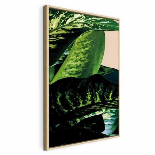 Leinwandbild Difenbachia 40×60 cm, Standardleinwand