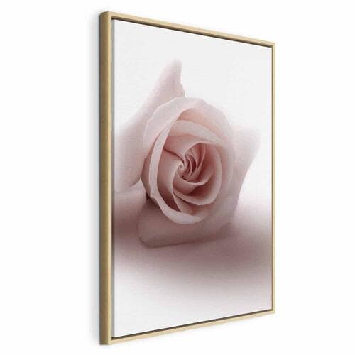 Obraz na płótnie Kwiatowy blask glamour - delikatna i pastelowa róża 40×60 cm, płótno standard