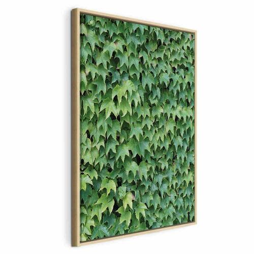 Canvas print Gęsty bluszcz 40×60 cm, standard canvas