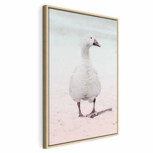 Canvas print Zimowa kaczuszka 40×60 cm, standard canvas