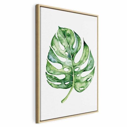 Leinwandbild Akwarelowa monstera 40×60 cm, Standardleinwand