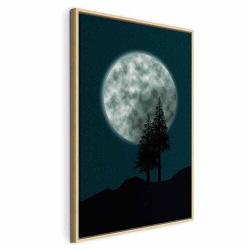 Canvas print Piękna pełnia księżyca 60×90 cm, standard canvas