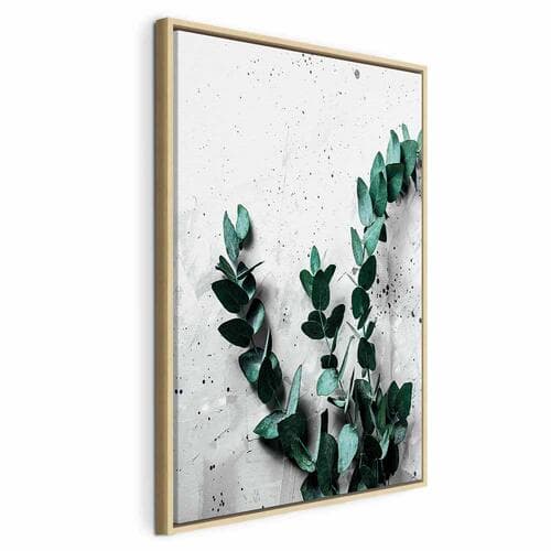 Canvas print Eukaliptusowy zapach 60×90 cm, standard canvas