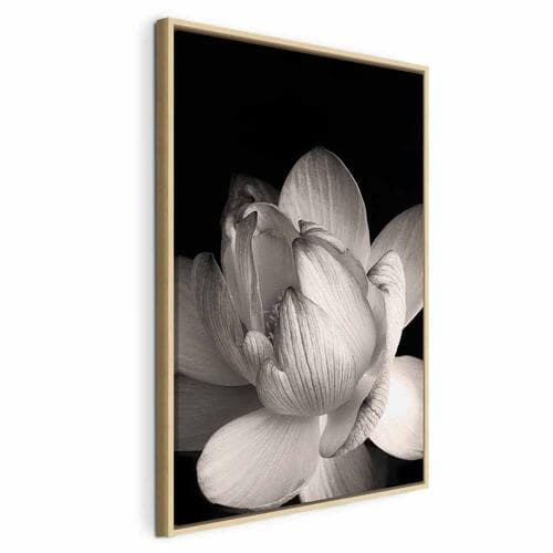 Leinwandbild Delikatność płatków w naturze - kwiat w czerni i bieli 60×90 cm, Standardleinwand