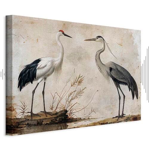 Canvas print Ptaki ze starej ryciny - ilustracja w stylu vintage, przedstawiająca czaplę i żurawia 30×20 cm, standard canvas