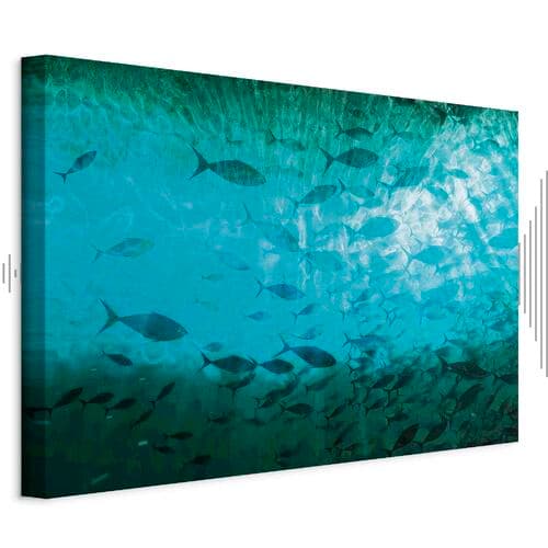 Canvas print Gromada ciemnych ryb 30×20 cm, standard canvas