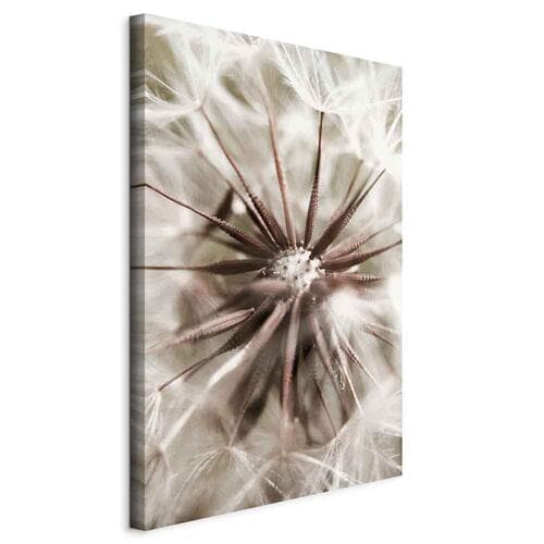 Leinwandbild Bliskość natury 20×30 cm, Standardleinwand