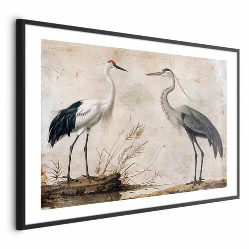 Plakat Ptaki ze starej ryciny - ilustracja w stylu vintage; przedstawiająca czaplę i żurawia 60×40 cm