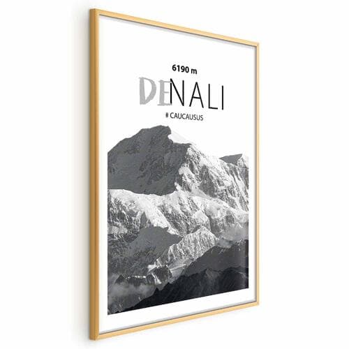 Постер Majestatyczny szczyt górski Denali korona gór pejzaż górski 60×90 см
