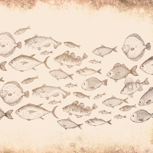 Round wall mural Zwierzęta FT-450697 100×100 cm, standard non-woven