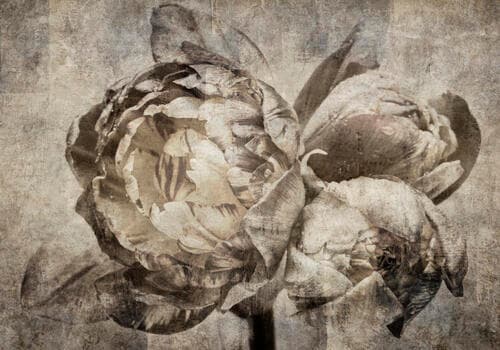 Wall mural Kwiaty FT-450549 100×100 cm, standard non-woven