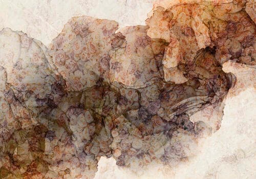 Wall mural Kwiaty FT-450534 100×100 cm, standard non-woven