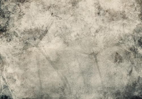Fototapete Kwiaty FT-450385 100×100 cm, Vlies Standard