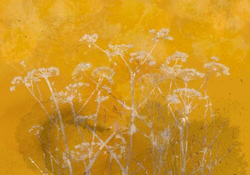 Fototapete Kwiaty FT-450253 100×100 cm, Vlies Standard