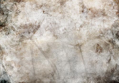 Fototapete Kwiaty FT-450157 100×100 cm, Vlies Premium