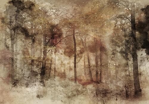 Fototapete Kwiaty FT-450155 100×100 cm, Vlies Standard