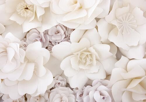 Wall mural Kwiaty FT-450086 100×100 cm, premium non-woven