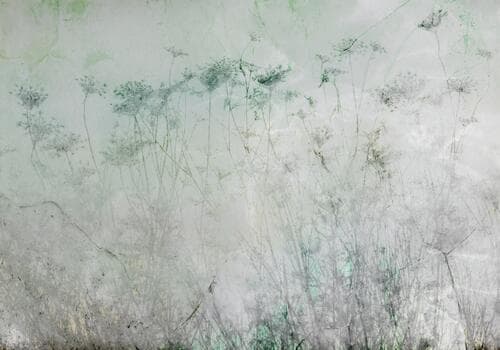 Wall mural Kwiaty FT-450059 100×100 cm, premium non-woven