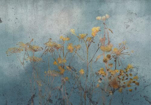 Fototapete Kwiaty FT-450058 100×100 cm, Vlies Standard