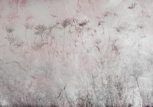 Fototapete Kwiaty FT-450030 100×100 cm, Vlies Standard