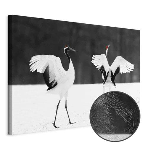 Canvas print Tańczące żurawie szeroki 60×40 cm, standard canvas