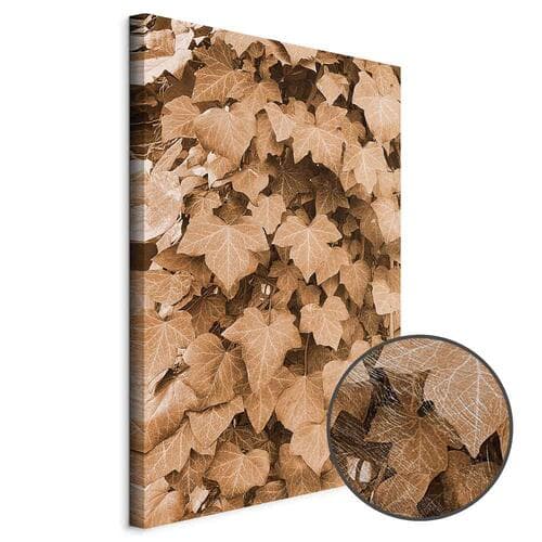 Leinwandbild Jesienny bluszcz 20×30 cm, Standardleinwand