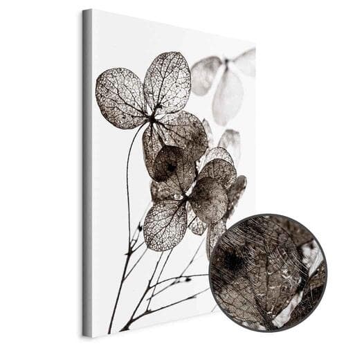 Leinwandbild Przezroczysta koniczyna 20×30 cm, Standardleinwand