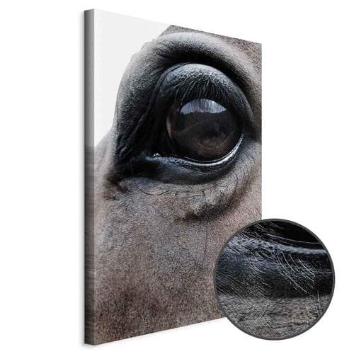 Canvas print Szczere oczy 20×30 cm, standard canvas