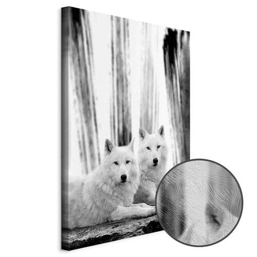 Leinwandbild Leśna miłość 40×60 cm, Standardleinwand