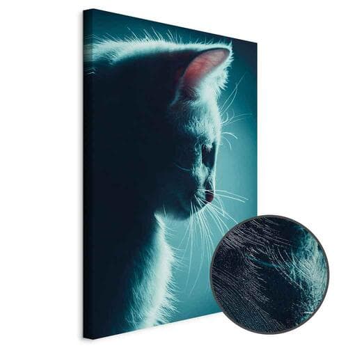 Canvas print Nocny włóczęga 80×120 cm, standard canvas