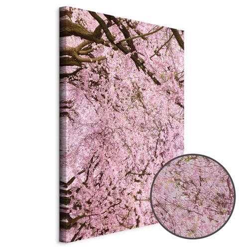 Leinwandbild Drzewo wiśni 20×30 cm, Standardleinwand